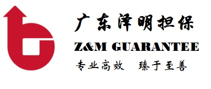 广东泽明担保有限公司-保函、保险、融资、金融科技