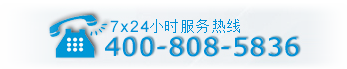 荷兰服务器_荷兰vps云主机_荷兰虚拟主机-荷兰阿姆斯特丹数据中心